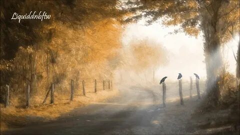 Ворона перешла дорогу