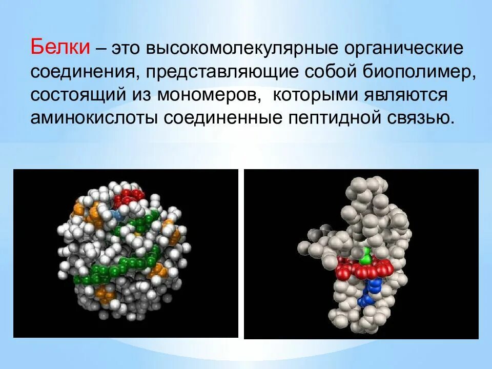 Белки высокомолекулярные соединения. Белки аминокислоты. Аминокислоты белки презентация. Аминокислоты белки химия. Белок органическое вещество.