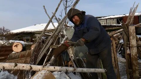 Сбор валежника в 2024