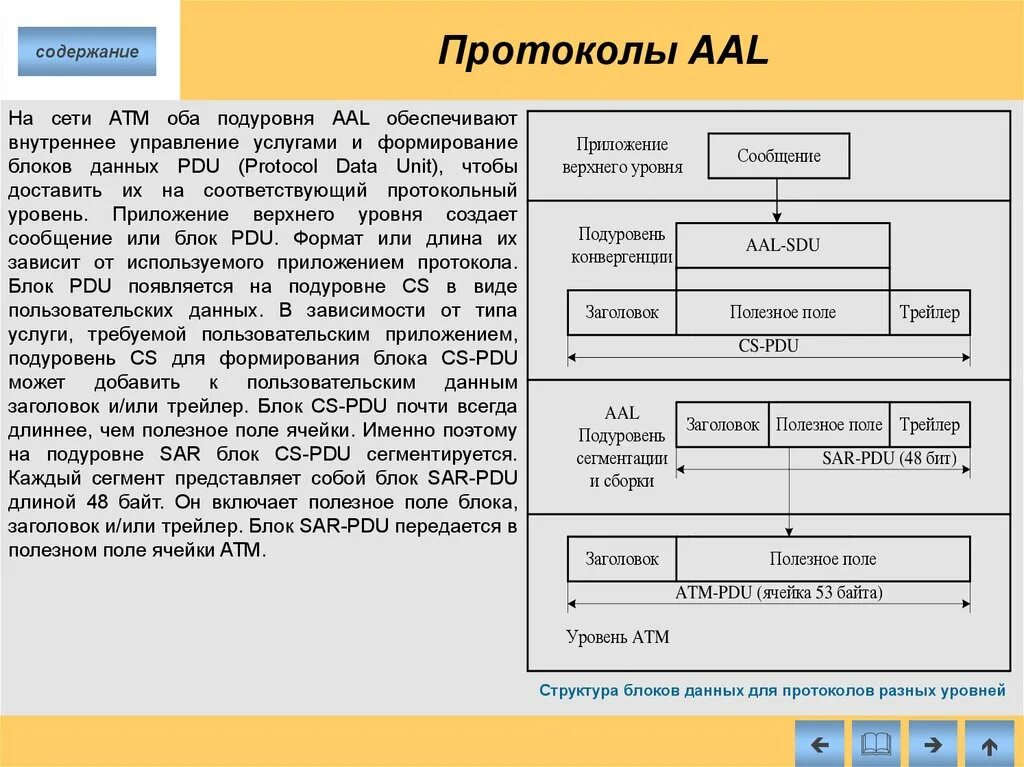 Работа протоколов данных. Протокольные блоки данных pdu. блок данных pdu протокола ip. протокольный блок данных. протоколы aal.
