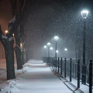 На улице пошел снег