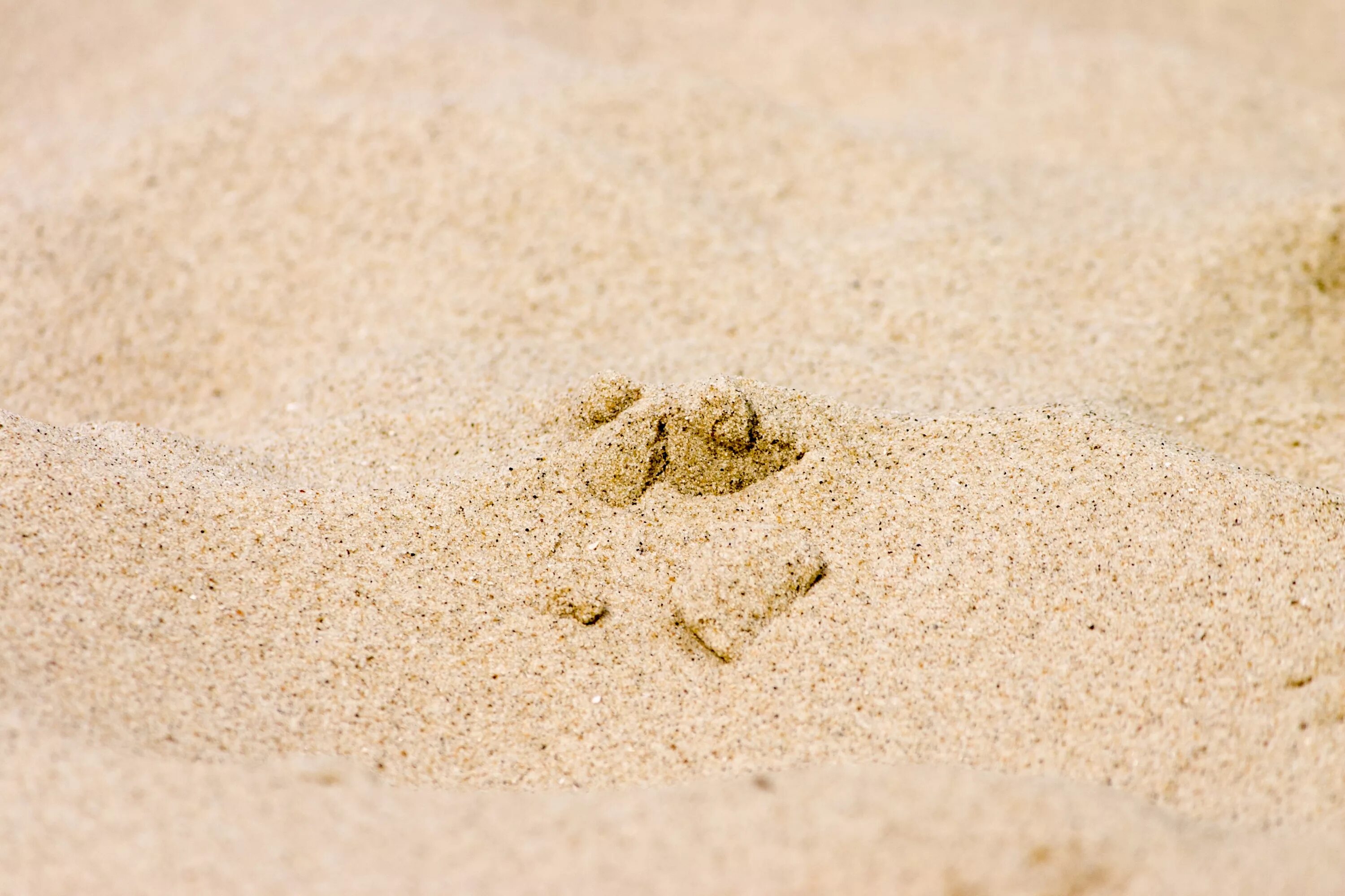 Маленькая песчинка. Песок. Песок карьерный. Песок для детей. Песочный пляж.