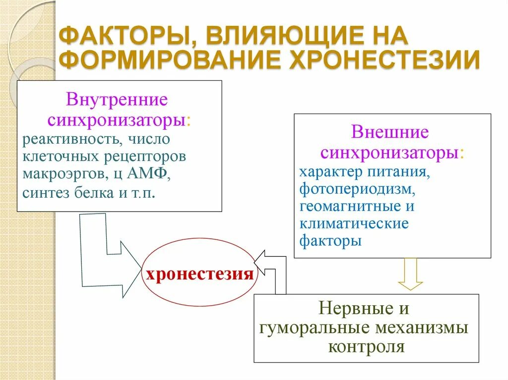 Развитие внутренних сил. Хронокинетика это. Хронестезия фармакология. Хронофармакология факторы. Хронофармакокинетика это.