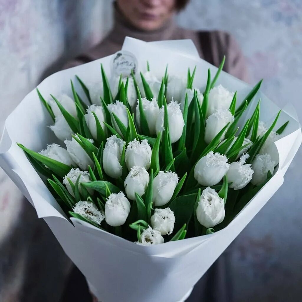 Тюльпан вайт династия. Flowwow 101 тюльпан белый. Белые тюльпаны. Букет из белых тюльпанов. Белые тюльпаны лежат на столе.