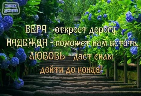 Надеюсь помогла вам