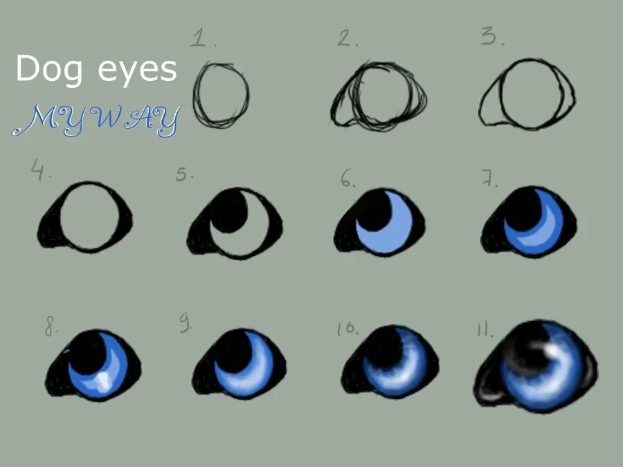 Как рисовать глазки. Глаза для рисования. Поэтапное рисование глаз. Как рисовать глаза собаки.