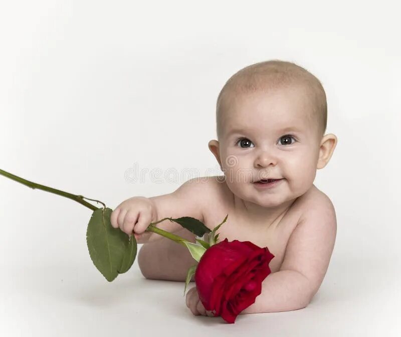 Boys was a rose. Новорожденный с розами. Boys was a rose. Boys was a rose. I know an old lady who swallowed a fly.