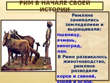 Что выращивали римляне