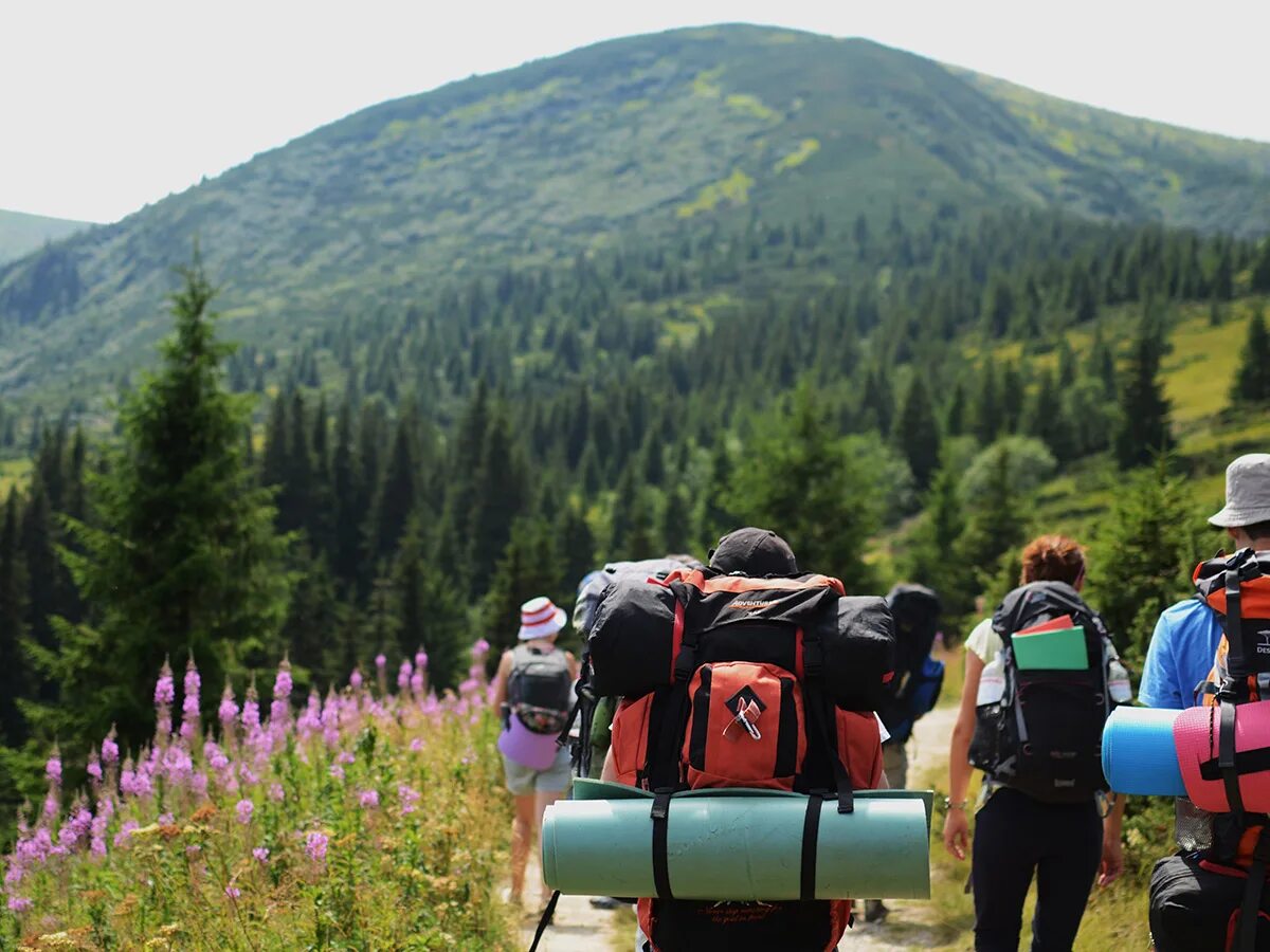 Tourism ecotourism. Экологический туризм. Экологический туризмзм. Экотуризм. Экотуризм в России.