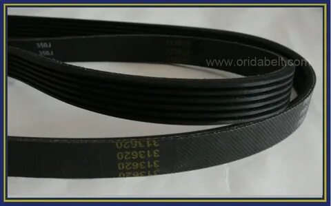 Rib belt