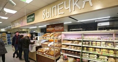 Лама томск