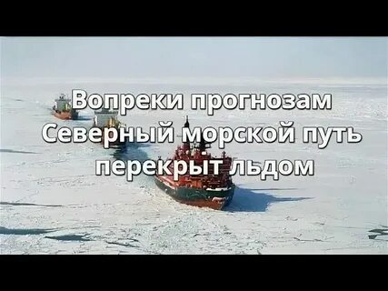 Погода вопреки