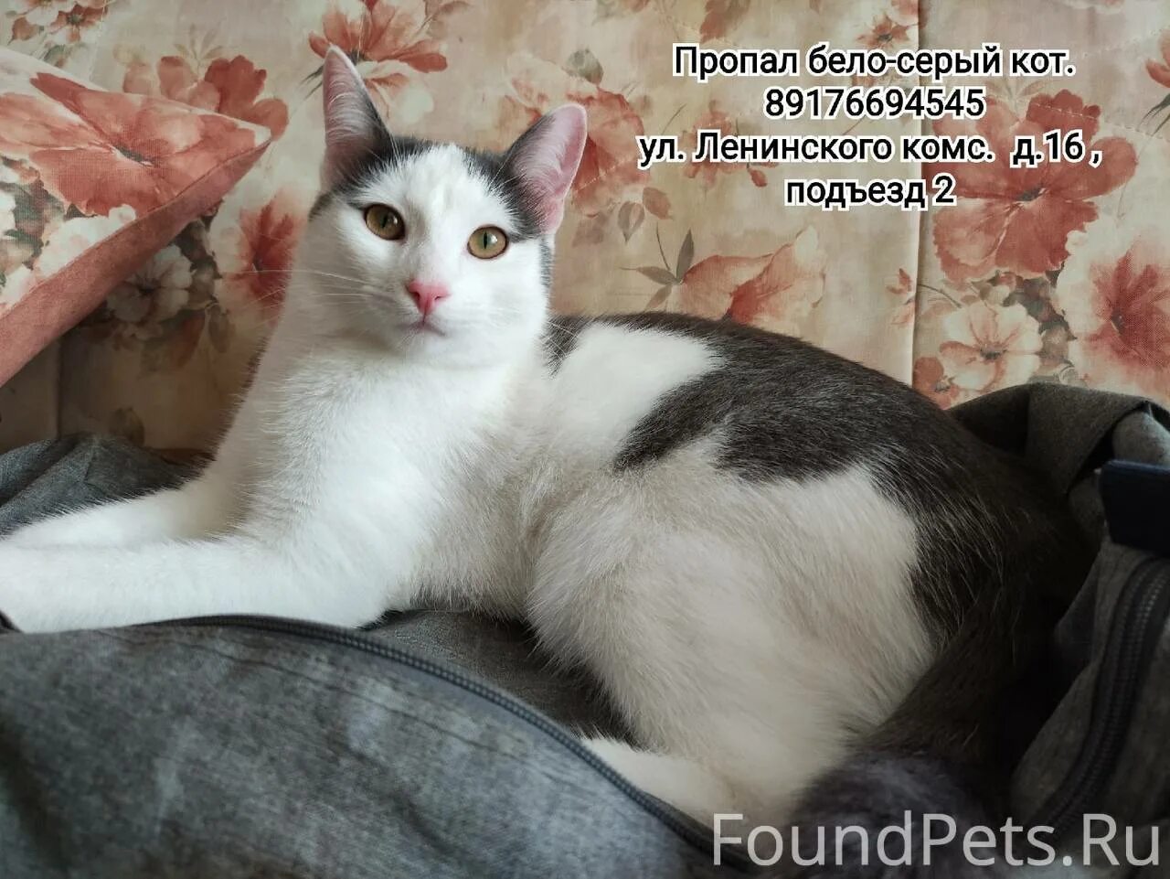 21 нету