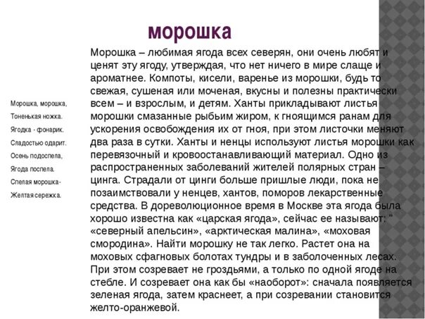 Морошка доклад. Рассказ о морошке. Сообщение о морошке. Небольшое сообщение о морошке.