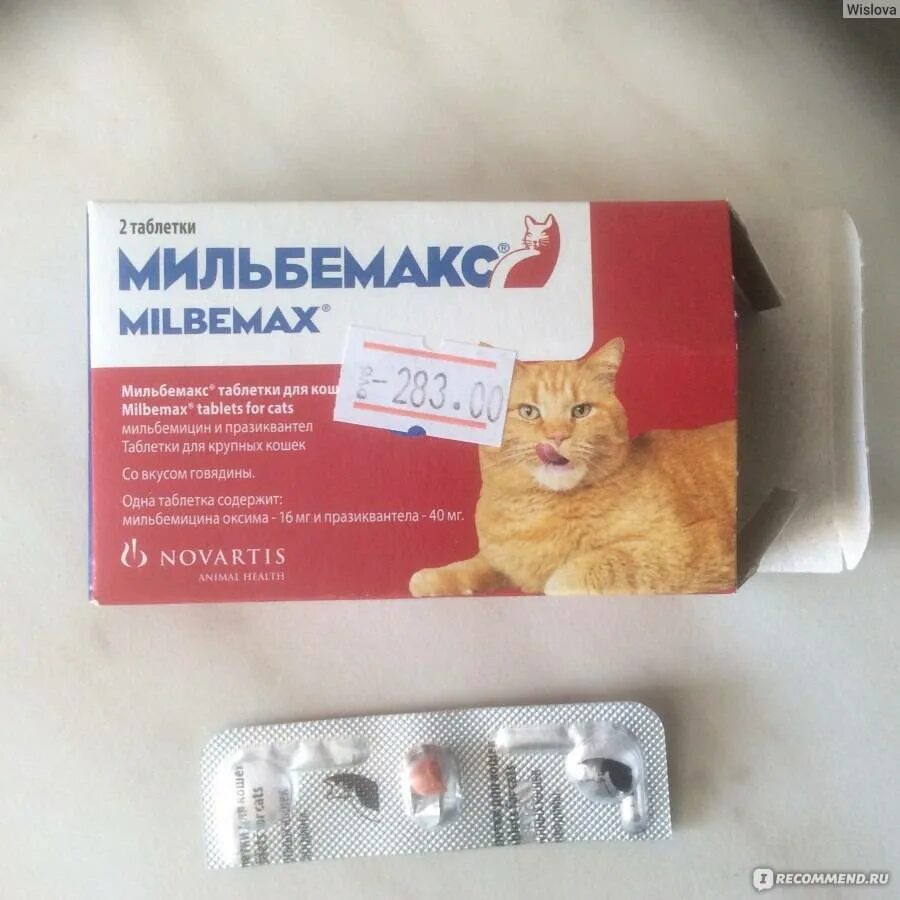 Мильбемакс для кошек как давать. Мильбемакс антигельминтик для кошек 2 табл. (24 уп/240кор) 16/40 мг. таблетки от глистов для котят мильбемакс. таблетки от гельминтов для кошек мильбемакс. мильбемакс для котят дозировка.