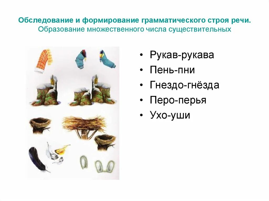 Обследование грамматического строя речи. Обследование грамматического строя речи у дошкольников. Исследование грамматического строя речи у дошкольников. Картинки для обследования грамматического строя речи. Обувь множественное