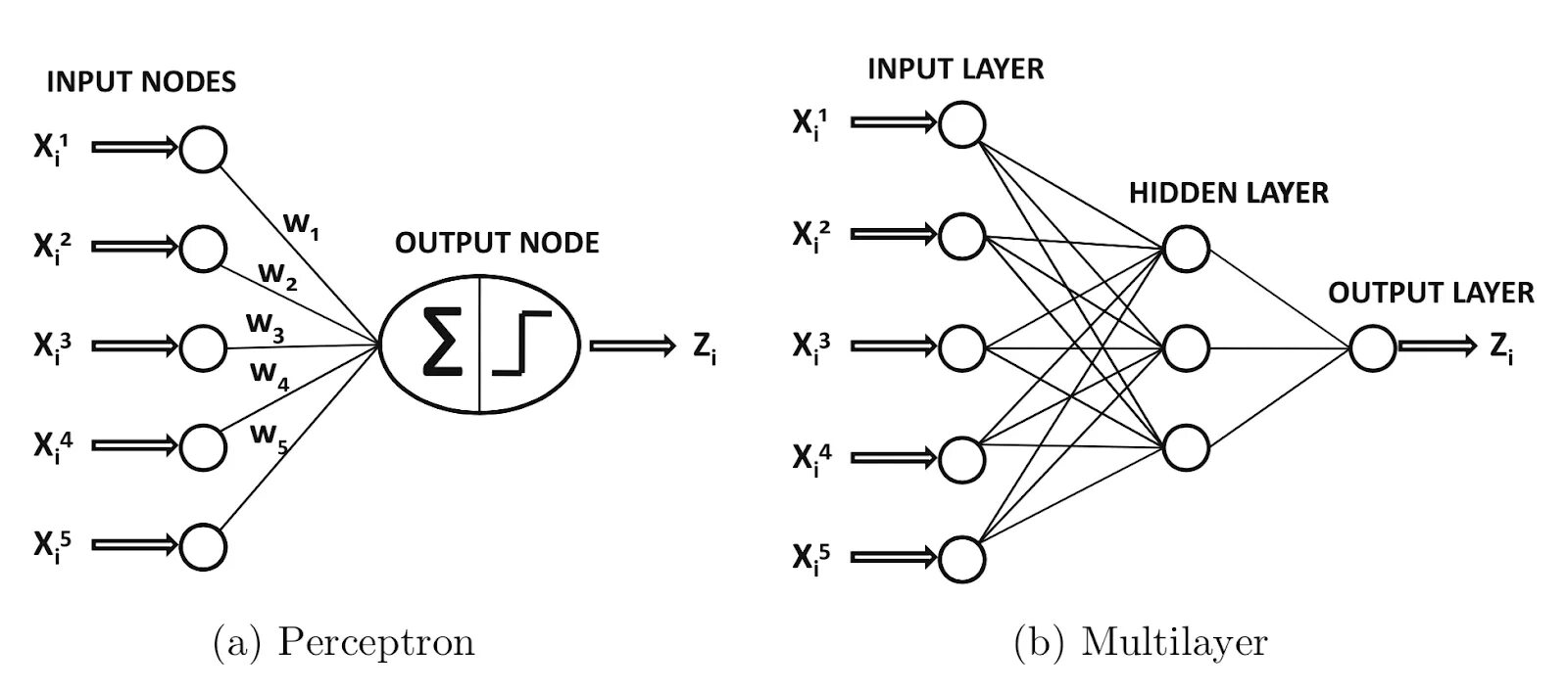 Input nodes