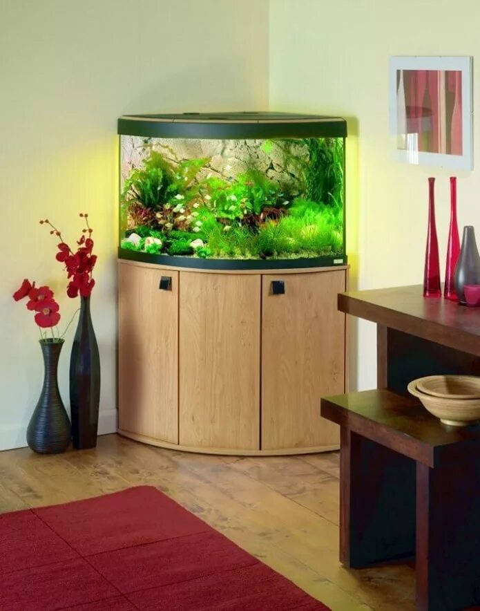 Аквариум biorb flow 30 led. Небольшой аквариум в интерьере. Куда ставить аквариум. Маленький аквариум в интерьере. Куда ставить аквариум.