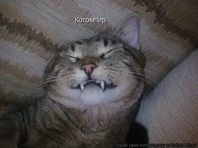 пока пока. я очень скромный. всем пока. открытки до свидания и до встречи. скромный пока.