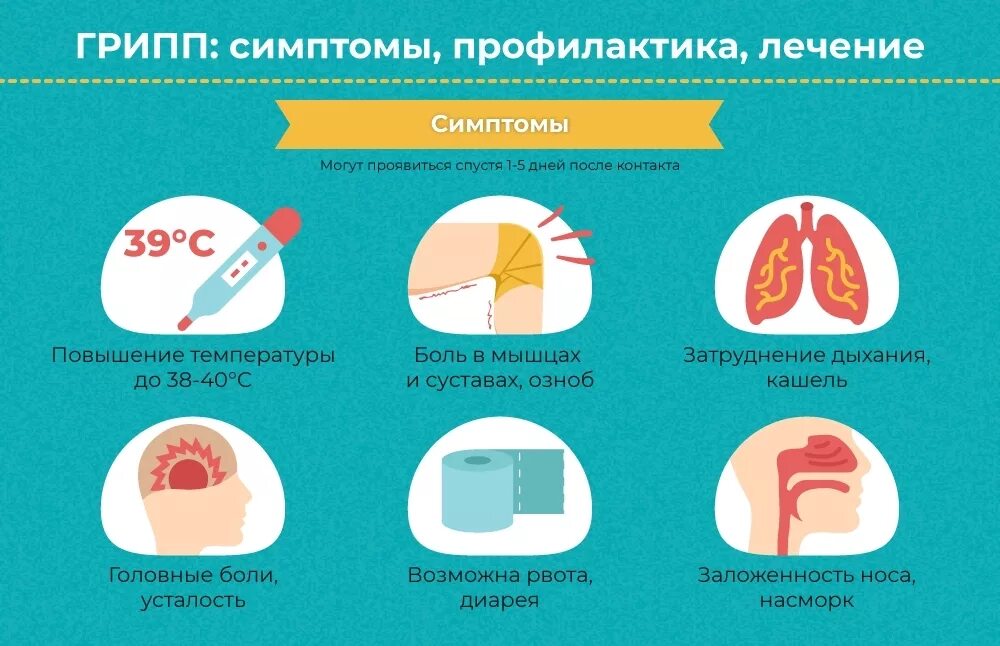 Грипп какое лечение. Симптомы гриппа. Грипп симптомы и профилактика. Признаки гриппа. Грипп проявления симптомы.