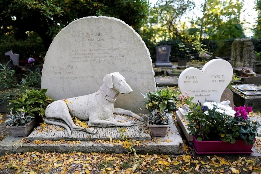 Pet cemetery