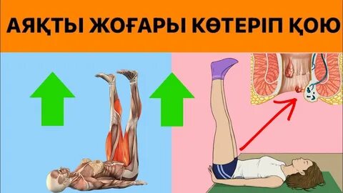 Атақты адамдар мен спортшылардың порно видеолары