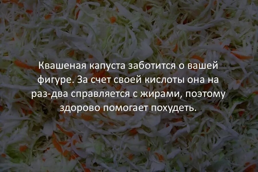 Можно курицам давать квашеную капусту. Смешное про квашеную капусту. шутка про квашеную капусту. квашеная капуста прикол. интересный факт о квашеной капусте.
