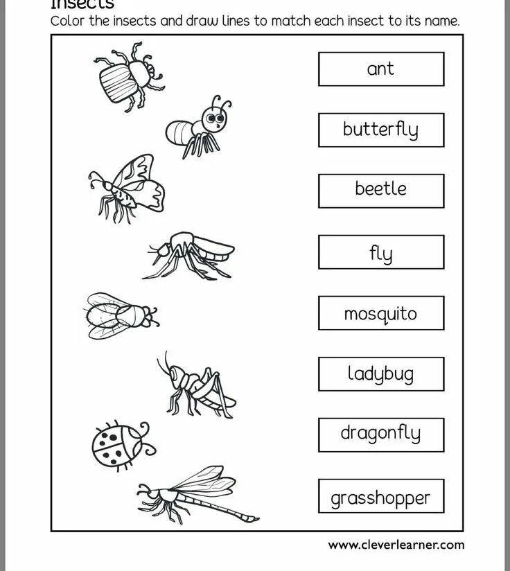 Насекомые рабочий лист 1 класс. Насекомые задания для дошкольников. worksheet насекомые. насекомые на английском для дошкольников. насекомые занятие для дошкольников.