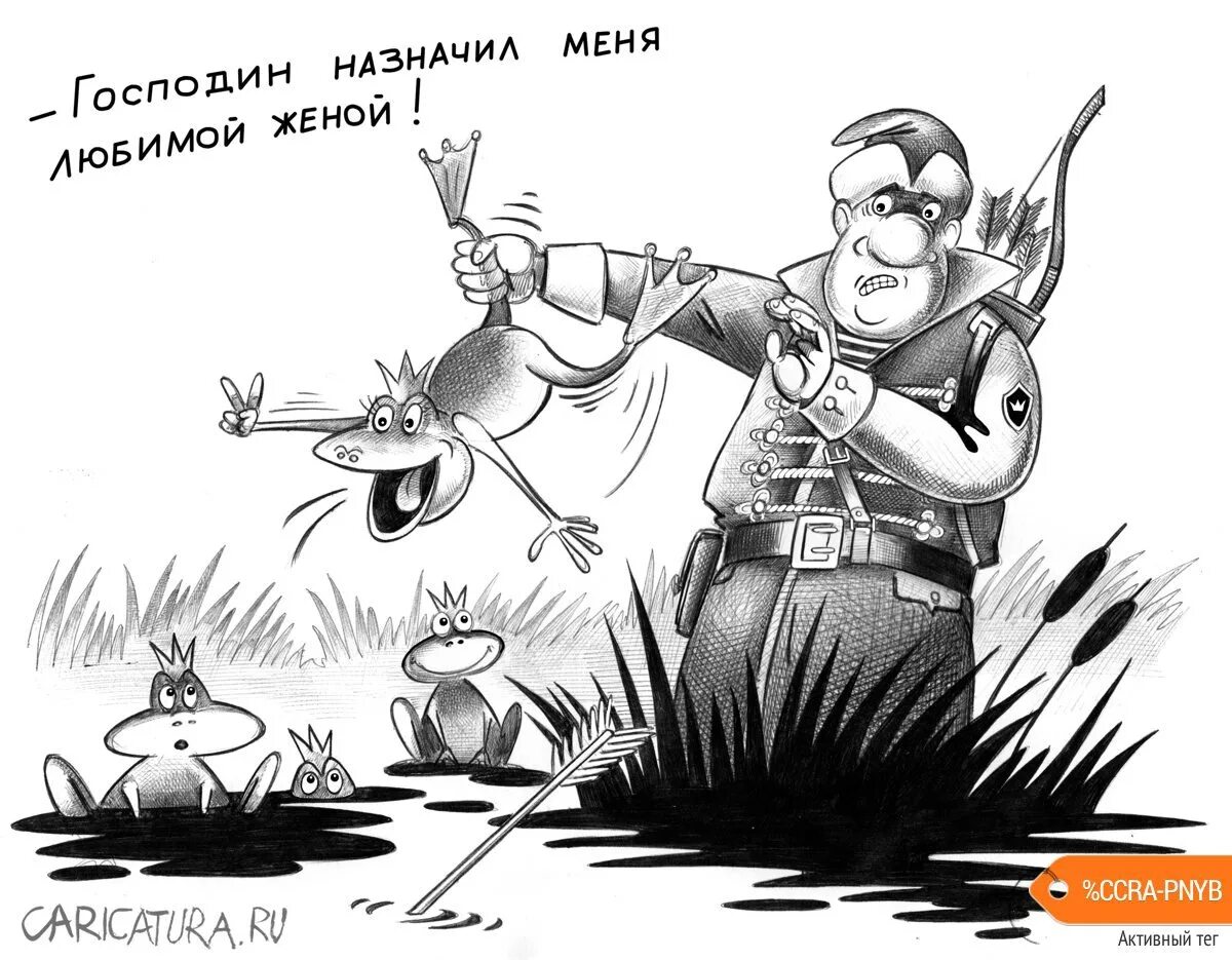Карикатура. Сергей Корсун Царевна лягушка. Сергей Корсун карикатуры. Карикатура ру. Господин назначил меня любимой женой.
