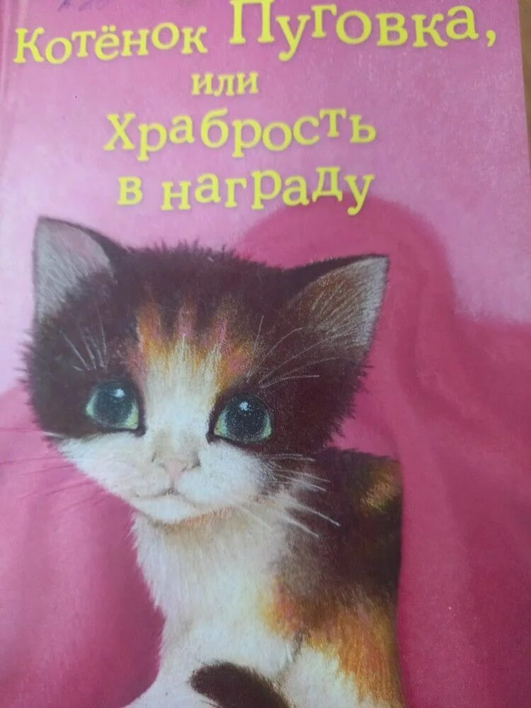 Холли вебб книги про котят. Детские книжки про котят. Котенок книжка для малышей. Котёнок с книжкой. Холли вебб котёнок стенли.