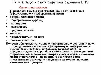 Гипоталамус анализы