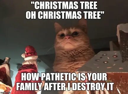 Pathetic перевод