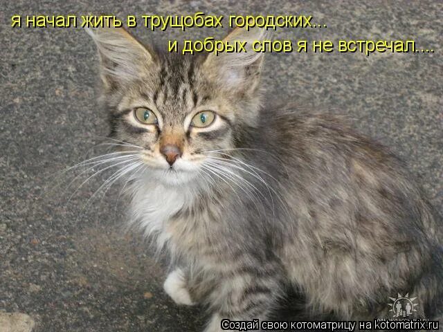 Я жил в трущобах городских слушать. Я жил в трущобах городских. Я вырос в трущобах городских. Я начал жизнь в трущобах. Я начал жить в трущобах городских.