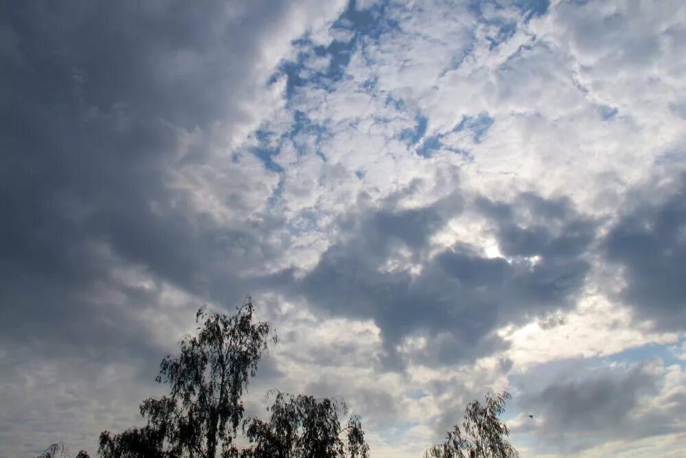 Свинцовое небо диктант. Еще хмурится небо но в просветах облаков пробивается. Еще хмурится небо но в просветах облаков. Текст ещё хмурится свинцовое небо но в просветах. Небо хмурилась небо хмурится.