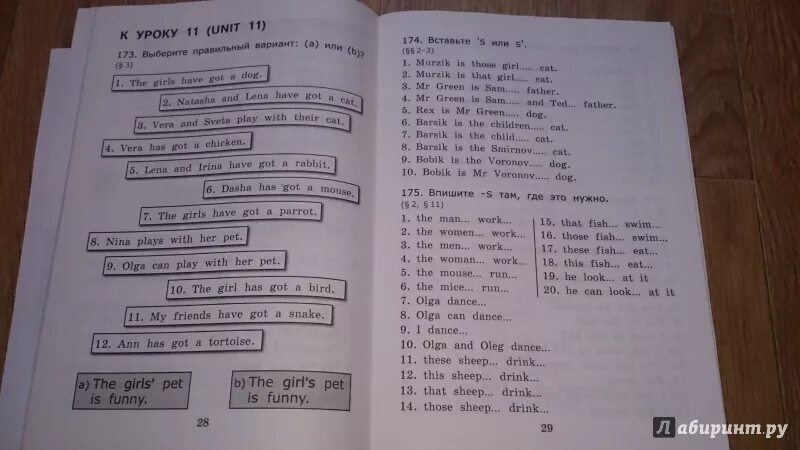 Сборник упражнений страница 75 номер 2. Грамматика 2 класс. Грамматика 2 класс английский упражнения. Барашкова 3 класс 2 часть. Сборник грамматических упражнений по английскому 2 класс.