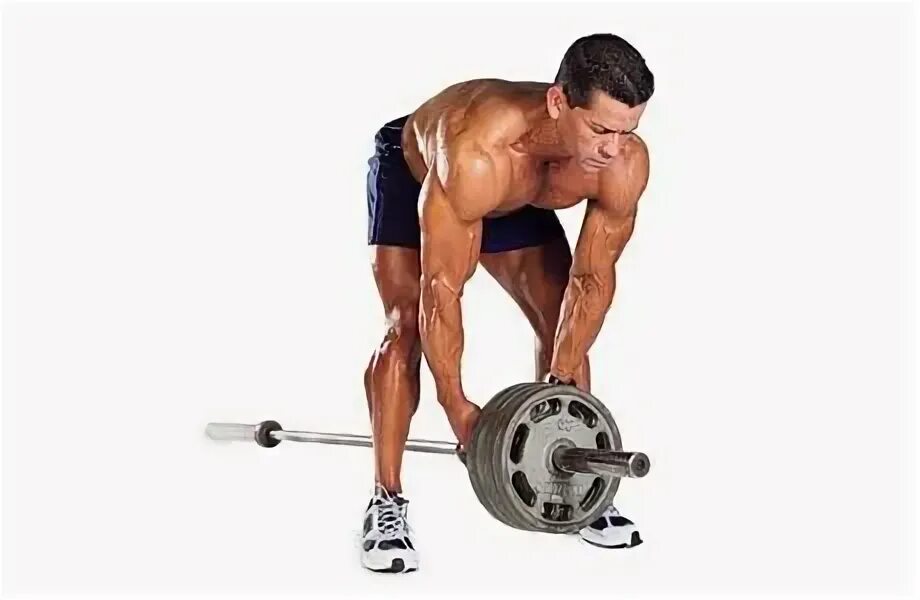 T bar rows