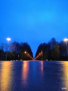 Приморский парк победы в санкт петербурге