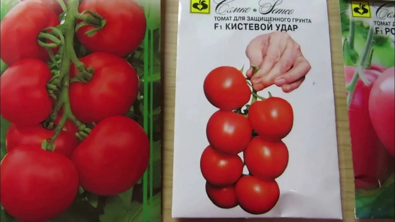 Кистевые сорта томатов описание