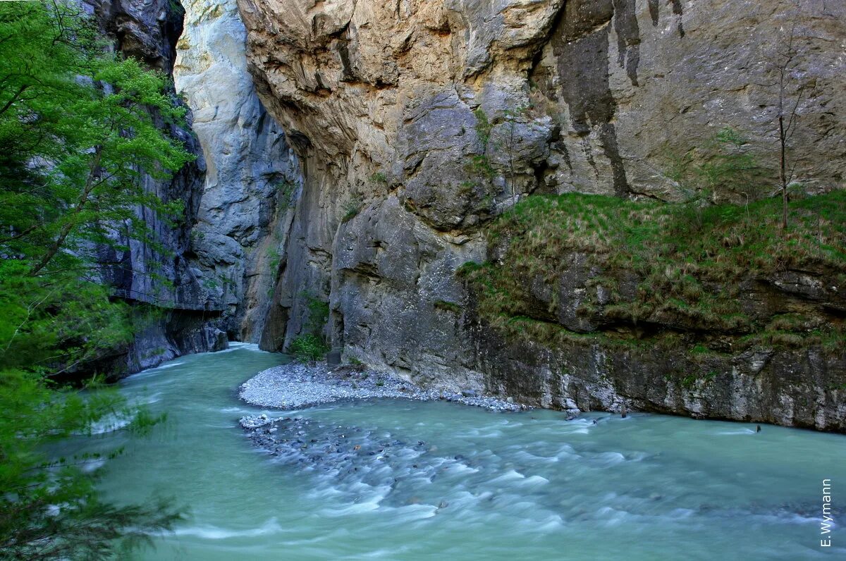 Икона твича. Леша и парадеевич. Список для стрима. Дилблин тик токер. Дилблин.