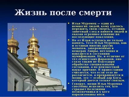 Сколько живут ильи