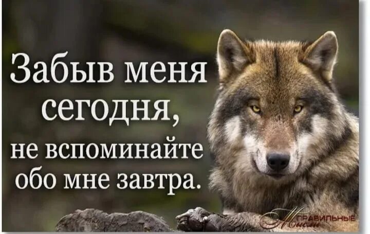 Вспоминай меня тогда. Забыв меня сегодня не вспоминайте обо мне завтра. забыв обо мне сегодня не вспоминайте обо мне завтра. забыв меня сегодня. забыв меня сегодня не.