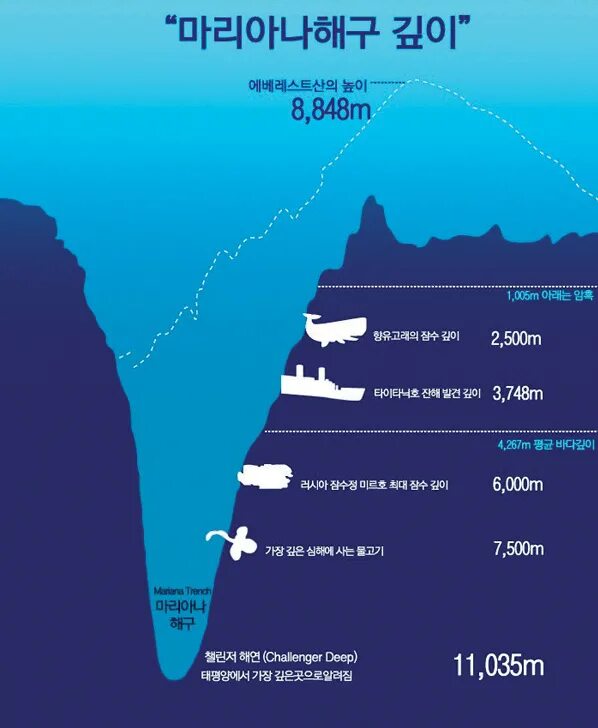 Максимальная глубина выштынца. Тихий океан Марианский желоб глубина в метрах. Марианский жёлоб глубина в метрах. Глубина мирового океана Марианская впадина. Марианская впадина глубина погружение.
