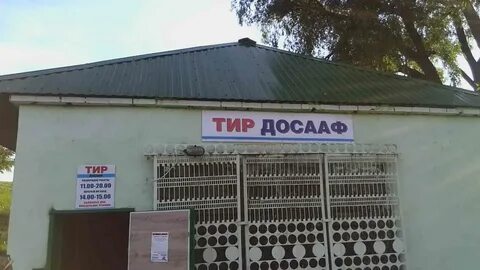 Тир 24