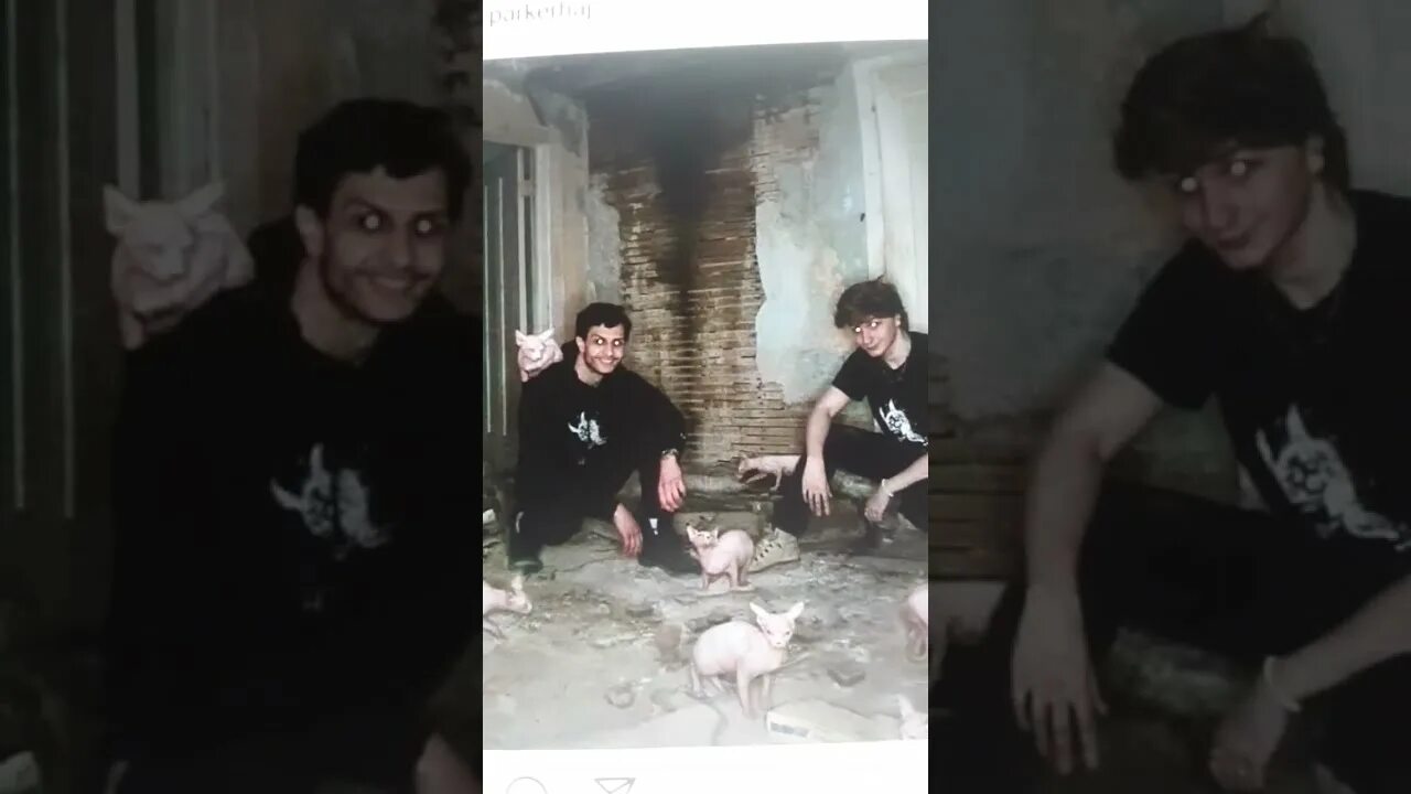 Честер life of luxury. Честер и паркер. Честер и паркер арт. Честер беннингтон и майк шинода. Честер и паркер шип life of luxury.