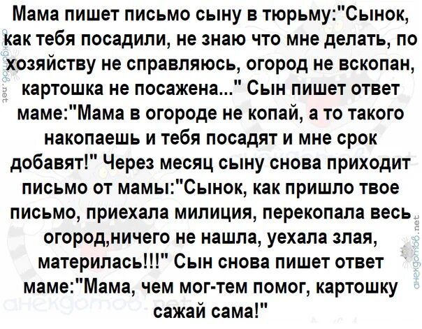 Отправь сообщение мама. Письмо к сыну от матери. Письмо мамы к сыну. Письмо сыну от мамы. Письмо матери сыну.