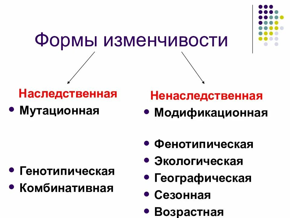 Наследственной называется изменчивость которая затрагивает. Формы изменчивости наследственная и ненаследственная. Закономерности изменчивости мутационная изменчивость 9 класс. Мутационная генотипическая изменчивость. Наследственная и модификационная изменчивость.