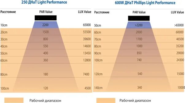 Люмены ДНАТ 250. Лампы ДНАТ 600 Вт для растений световой поток. ДНАТ 600 ватт. Таблица люмен ДНАТ 250вт. Сколько нужно света для рассады