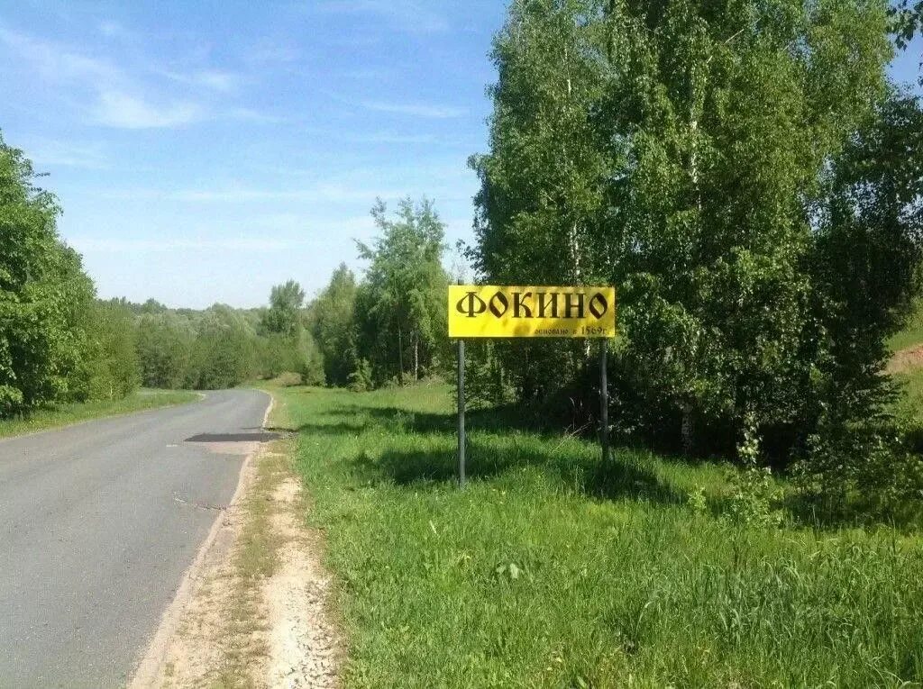 Село фокино нижегородская область. Фокино воротынский. Деревня фокино нижегородская область. Фокино воротынский. Деревня фокино нижегородская область.