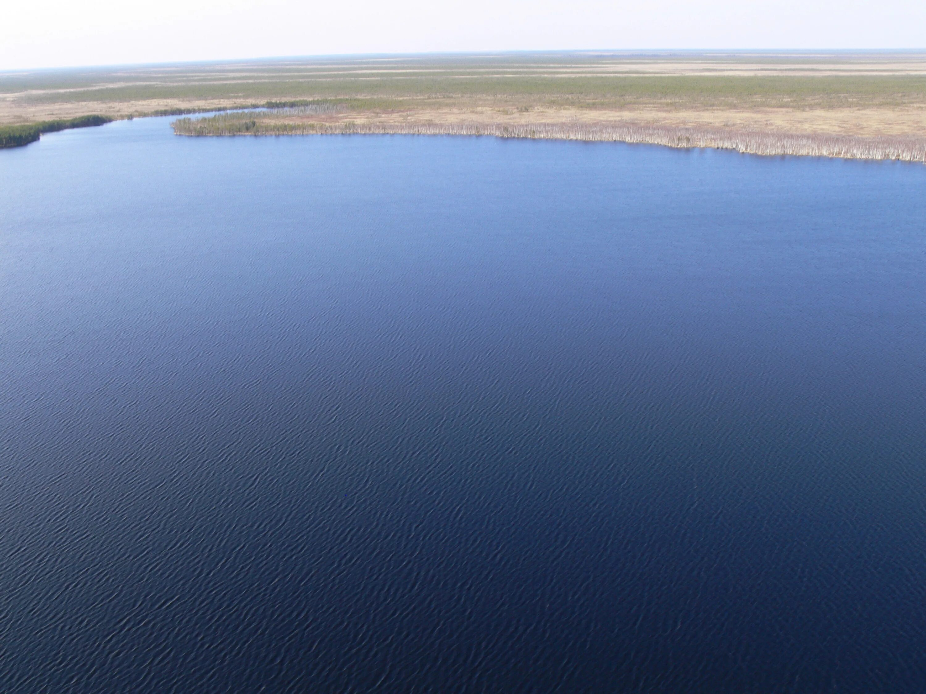 Река Васюган Томская область. Бездонное озеро новый Васюган. Исток реки Васюган. Васюган деревня.
