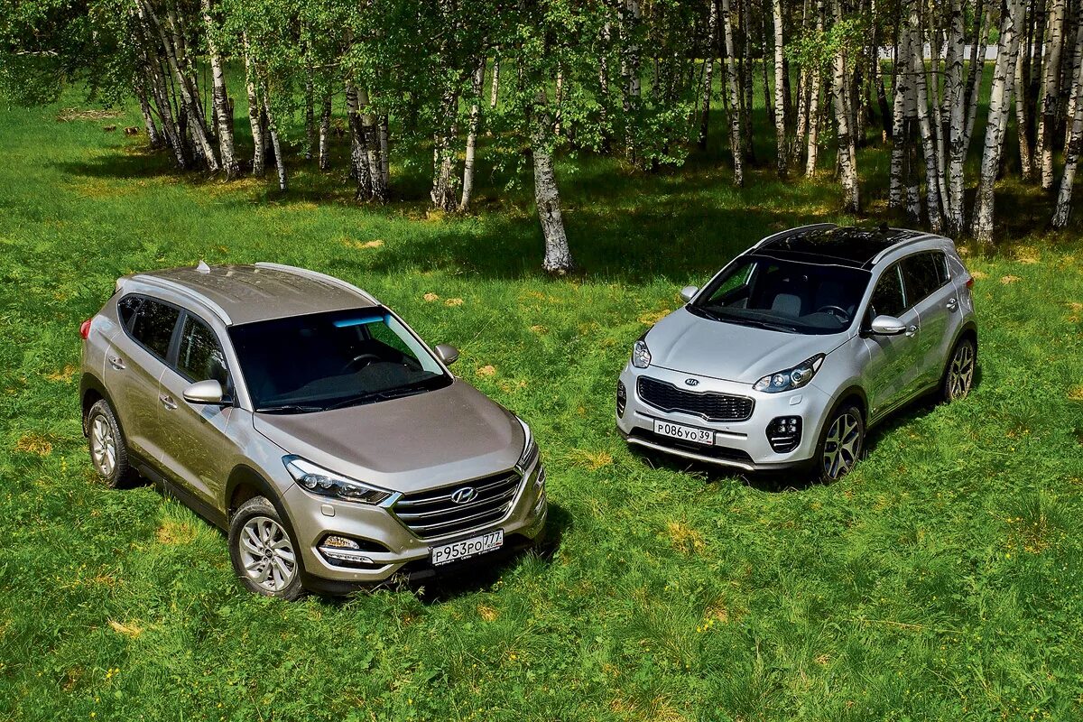 Хендай спортейдж 2021. Sportage vs tucson. Хендай спортейдж 2019. Sportage vs tucson. Туссан и спортейдж.